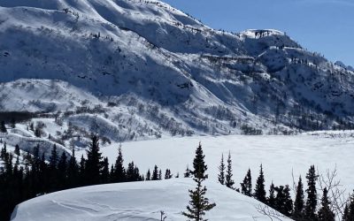 Trail Report 12/13/23