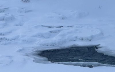 Trail Report 02/8/2024