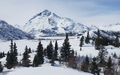 Trail Report 03/14/2024