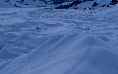 Trail Report 1.30.25