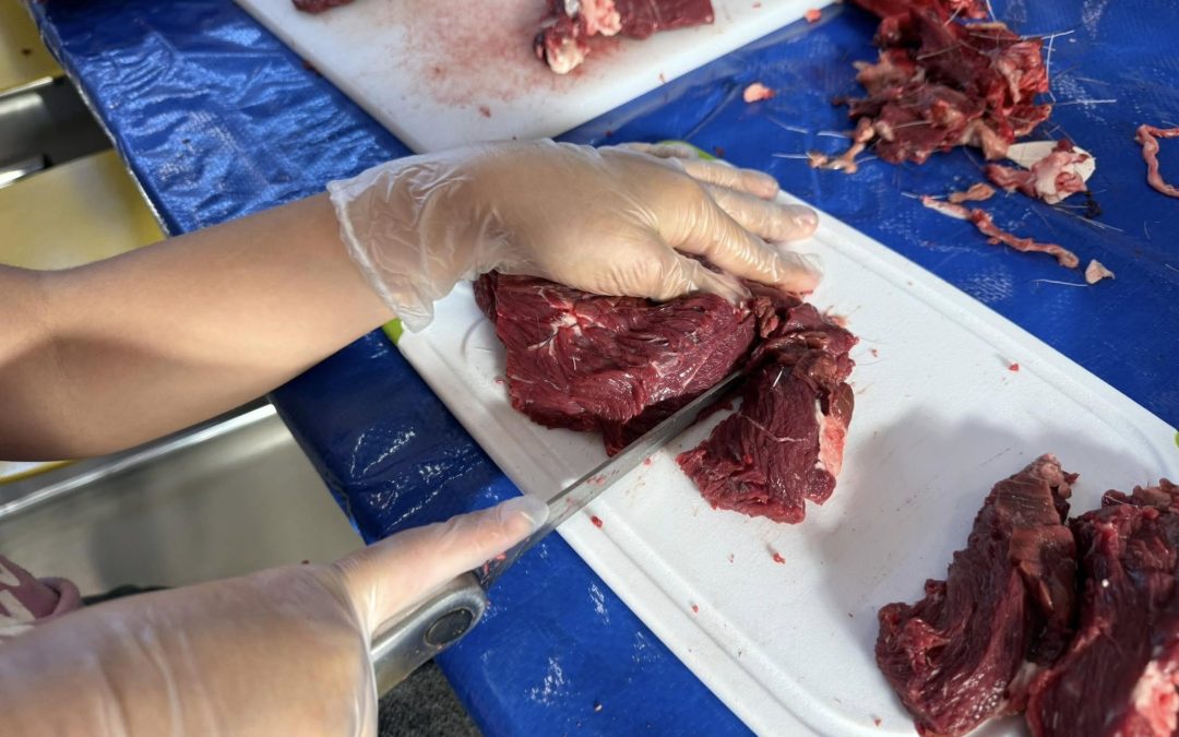 Summer Trail Report 8.28.25