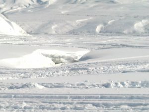 Hidden dangers. D McGhan